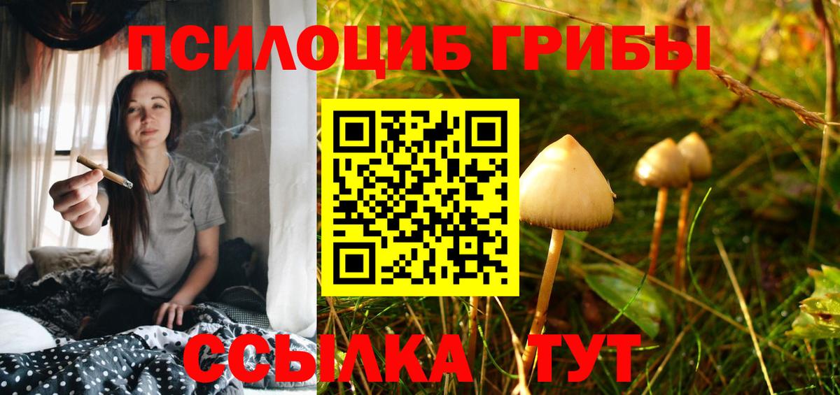 Галлюциногенные грибы GOLDEN TEACHER Александров