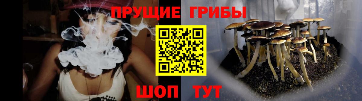 Псилоцибиновые грибы прущие грибы  Вход с VPN  купить   Александров 